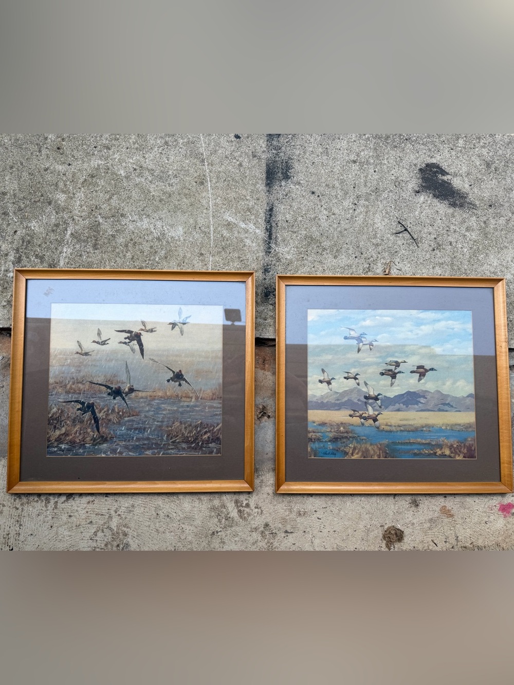 Vintage Duck Flight Framed Prints – Pair (Brown & Gold Frames)